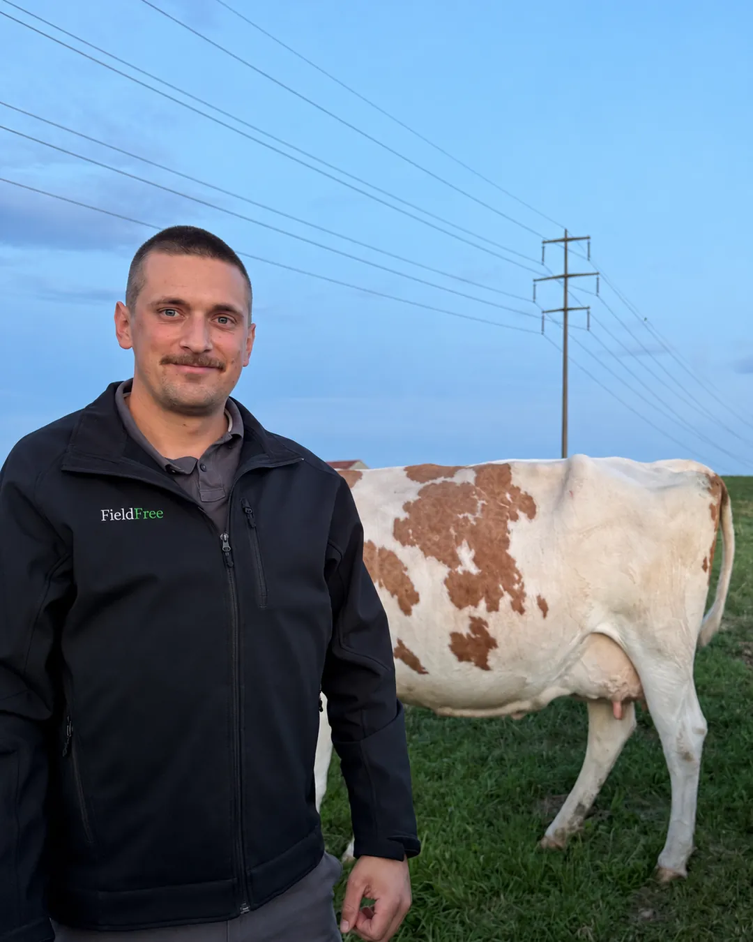 Pascal Ott auf der Weide neben einer Red-Holstein-Kuh